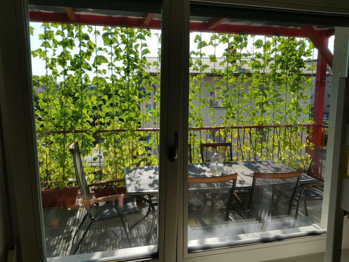 Ljubljana'S Terrace Apartment ภายนอก รูปภาพ